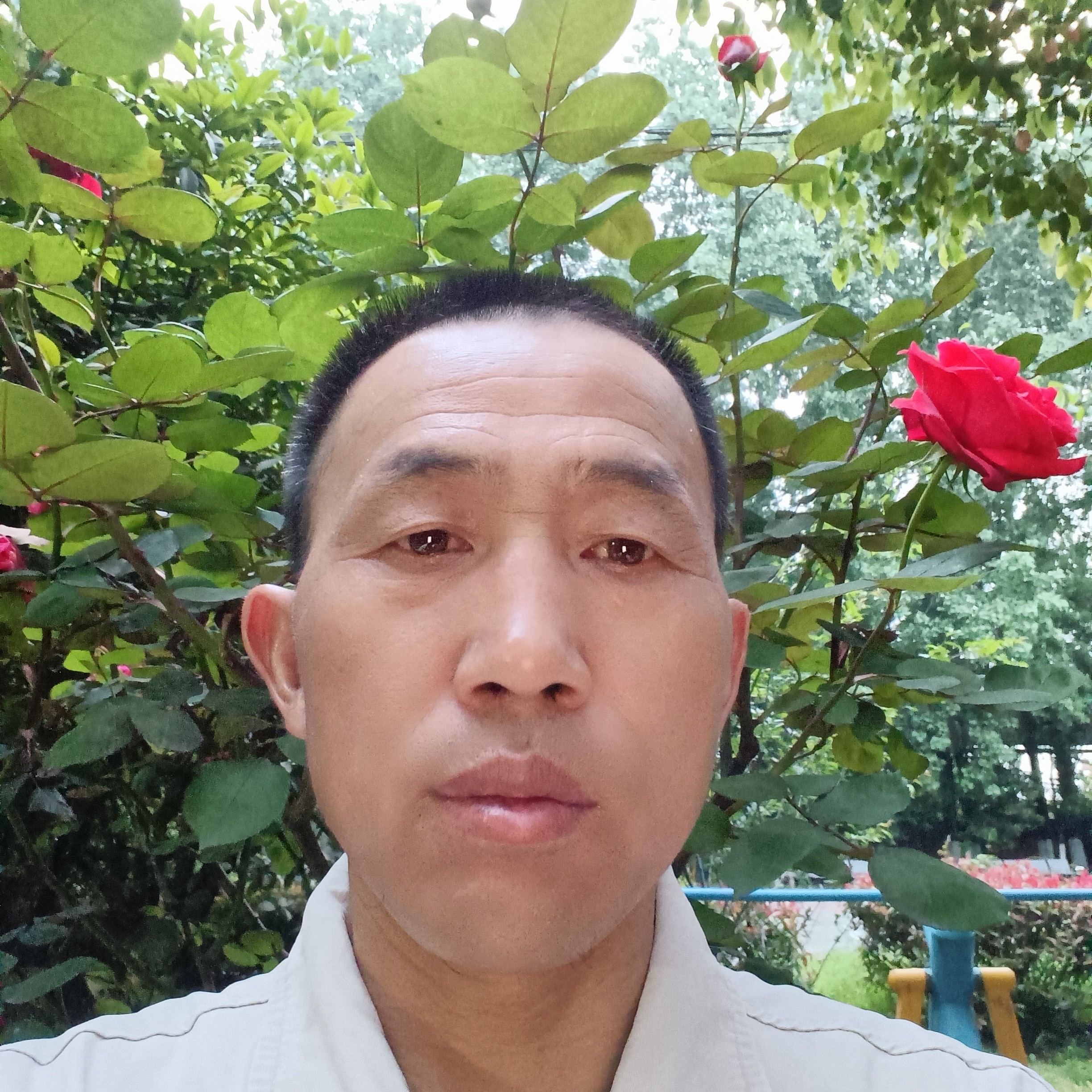 微笑回眸蓝莓的照片