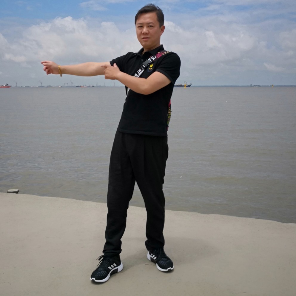 裙子有机智的照片