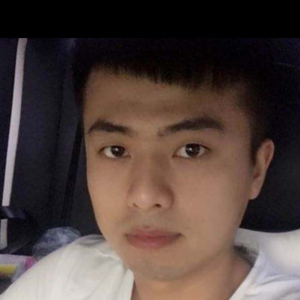 小海豚秀丽的照片
