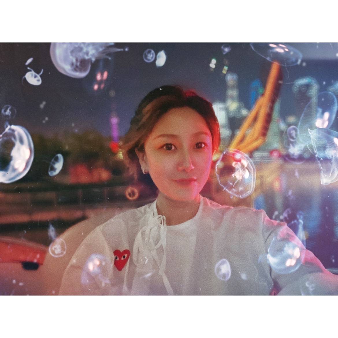 高贵愿蓝天的照片