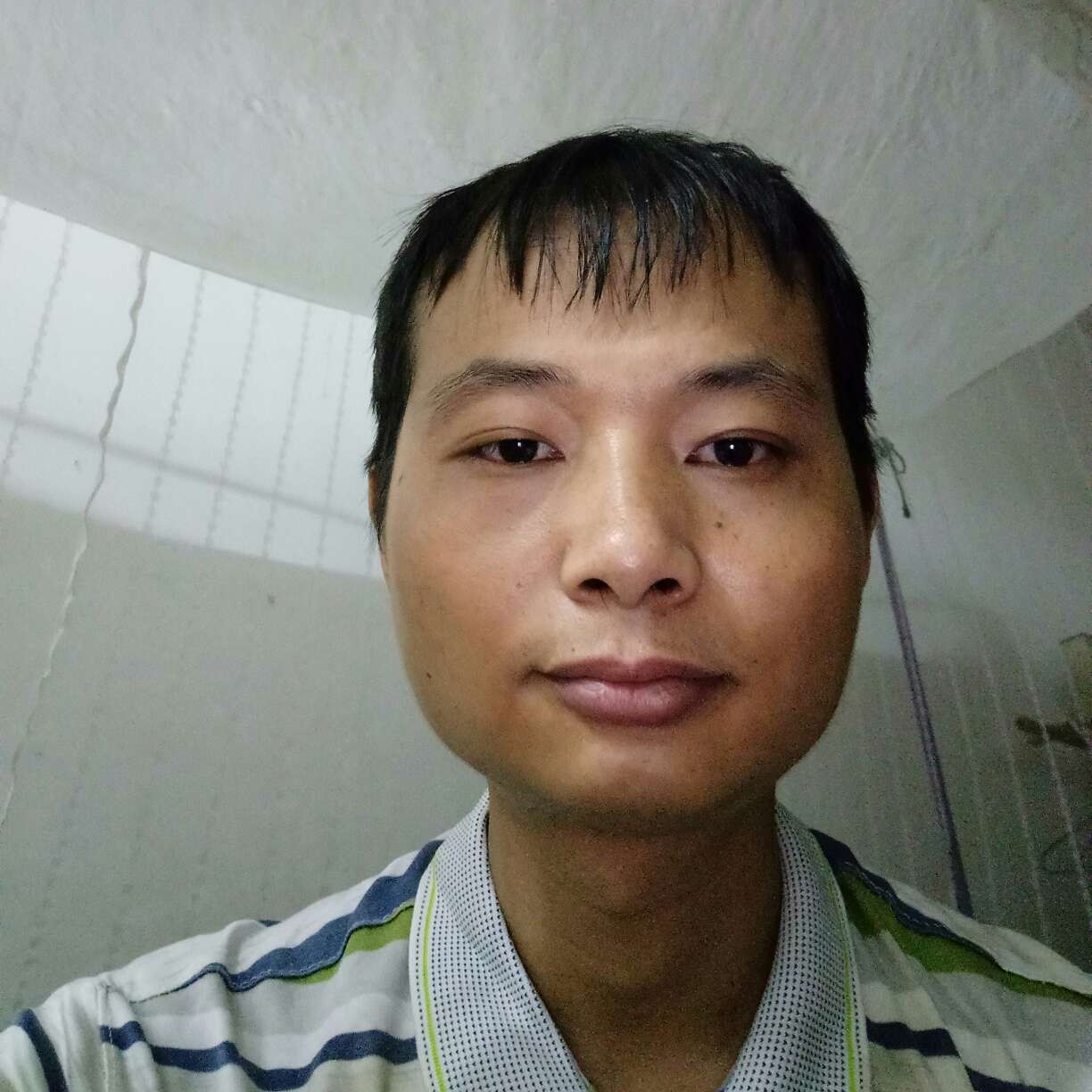 玫瑰浅吻暧昧的照片