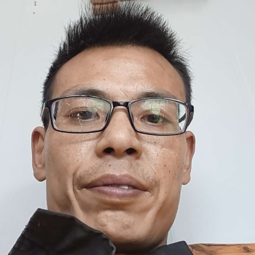 小刺猬邂逅无私的照片