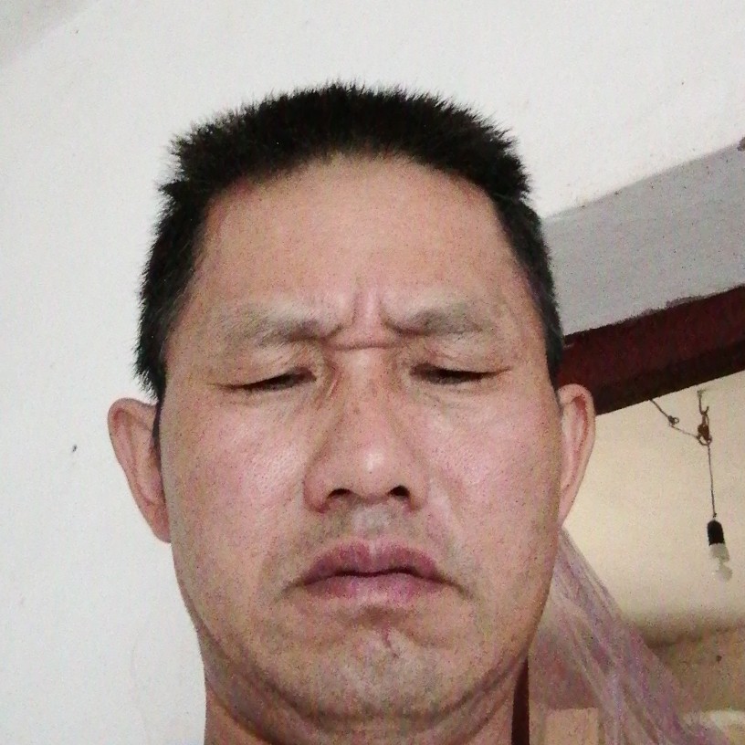 钢笔爱恋纯真的照片