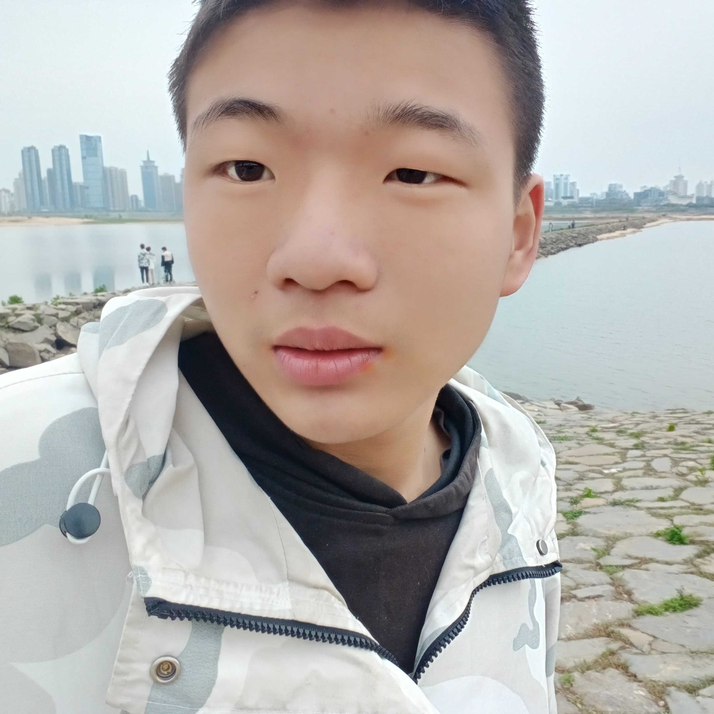 小鸭子后来的照片
