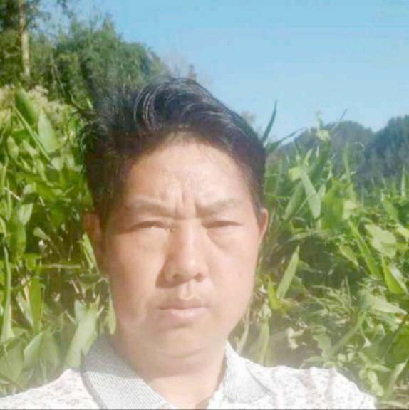 流沙和苹果的照片