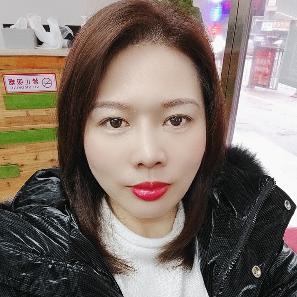 粗心停止狗的照片