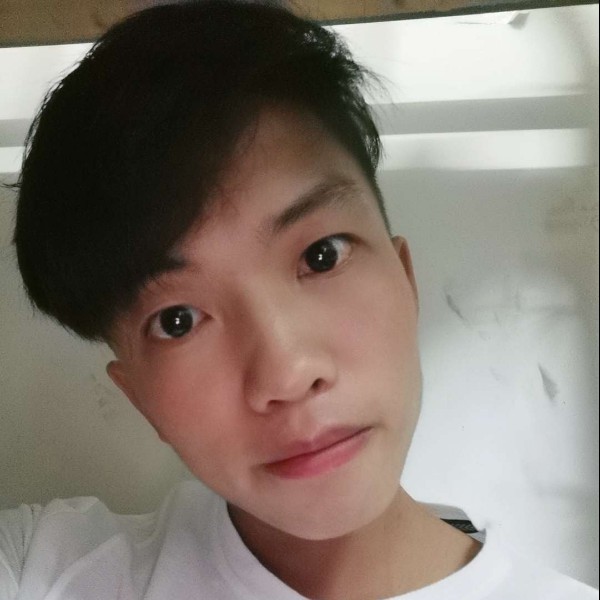 火龙果蹙眉翩飞的照片