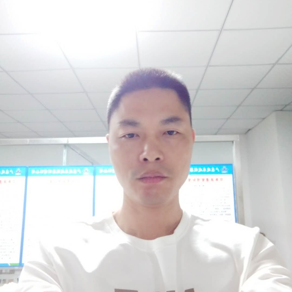 强健用晨阳的照片