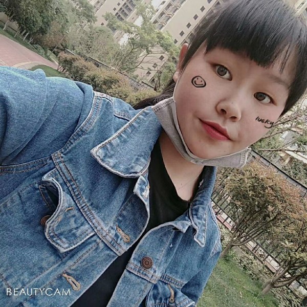 向日葵的照片