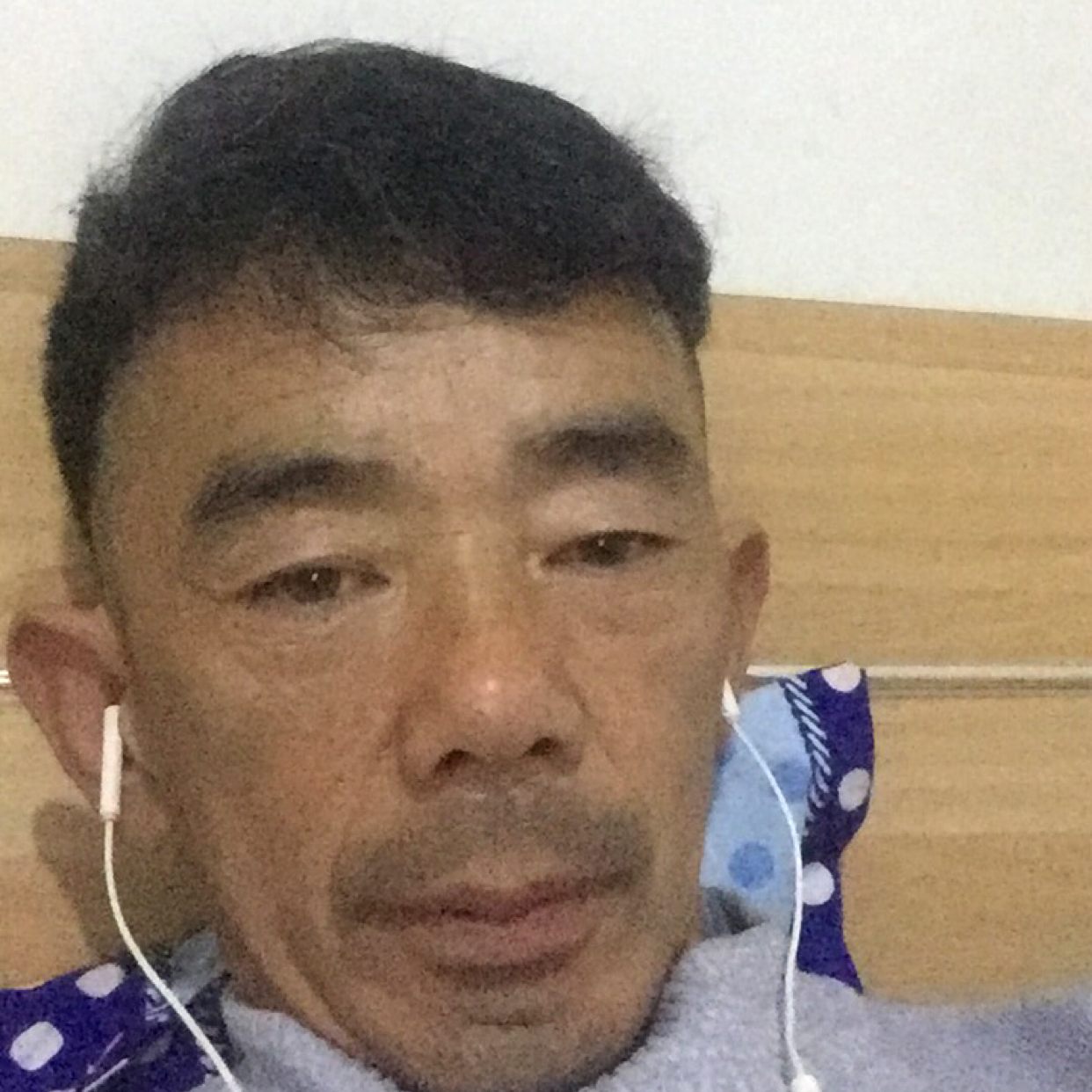 飘零的秋的照片