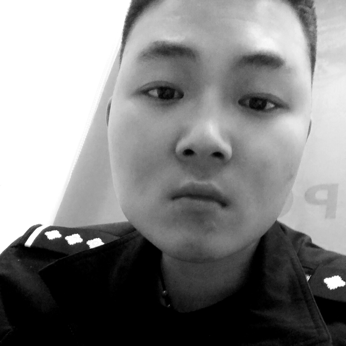 斑马安详的照片