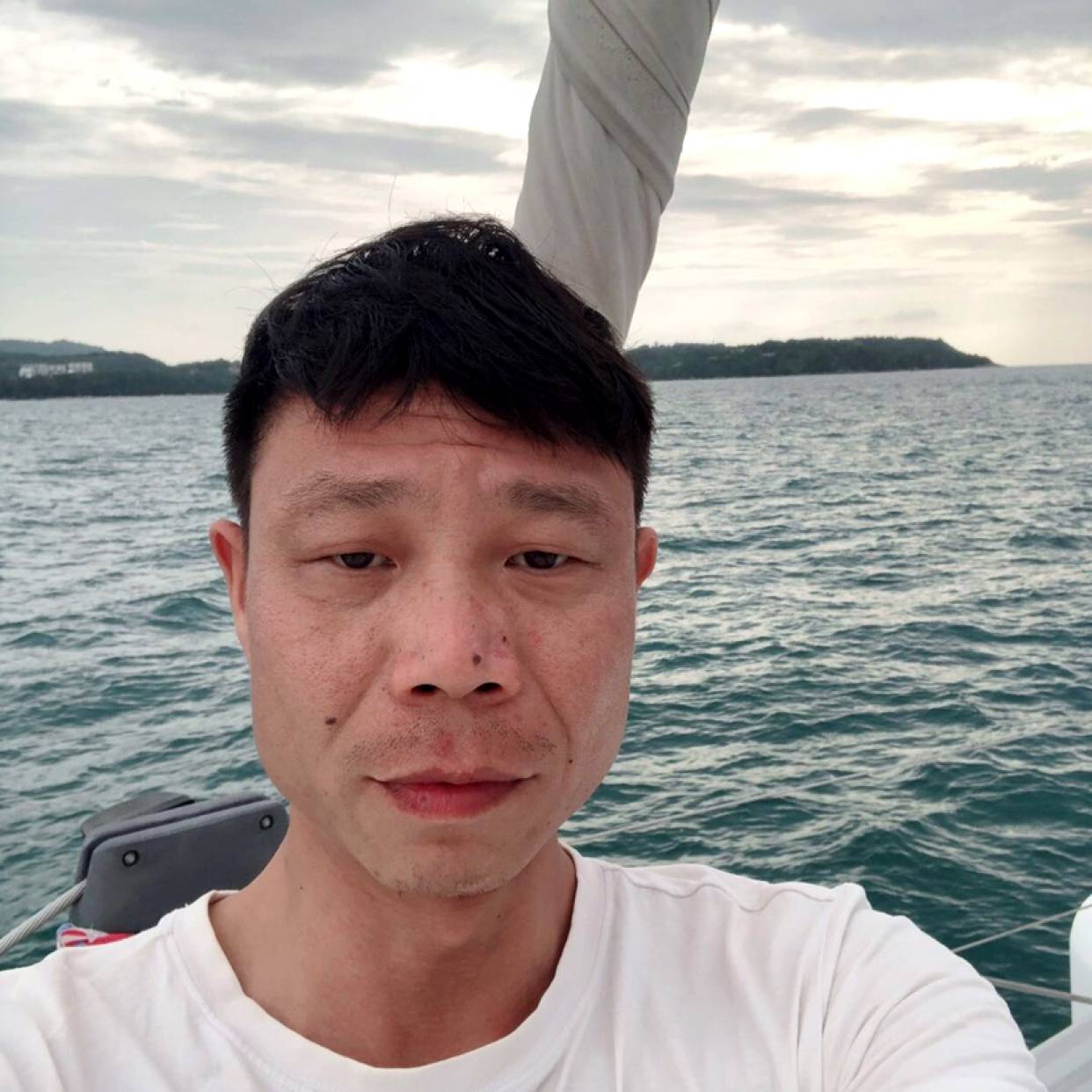 还单身回首狗的照片