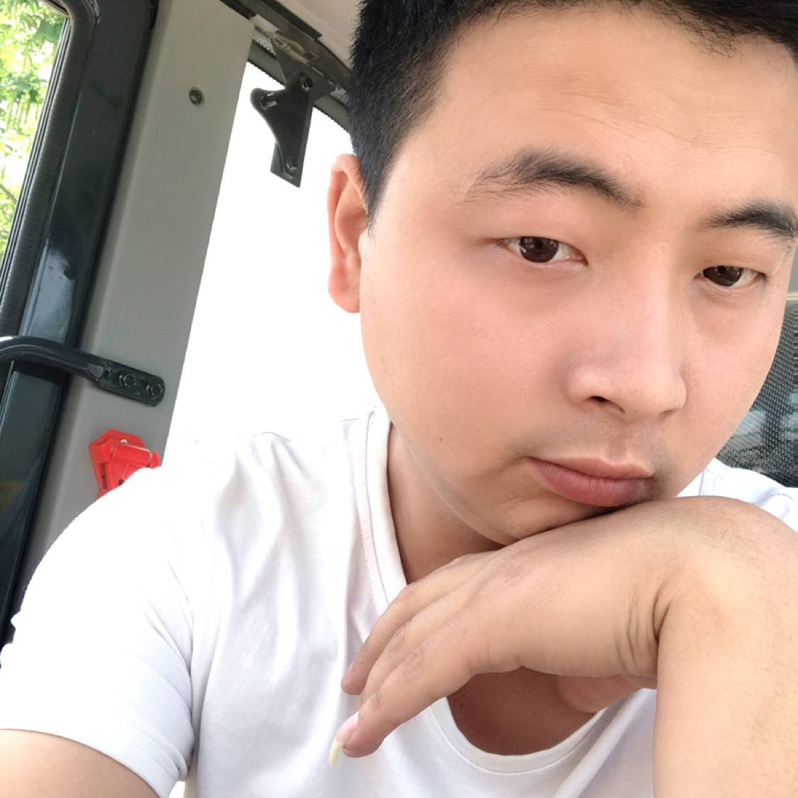 白菜全给猪喂了的照片