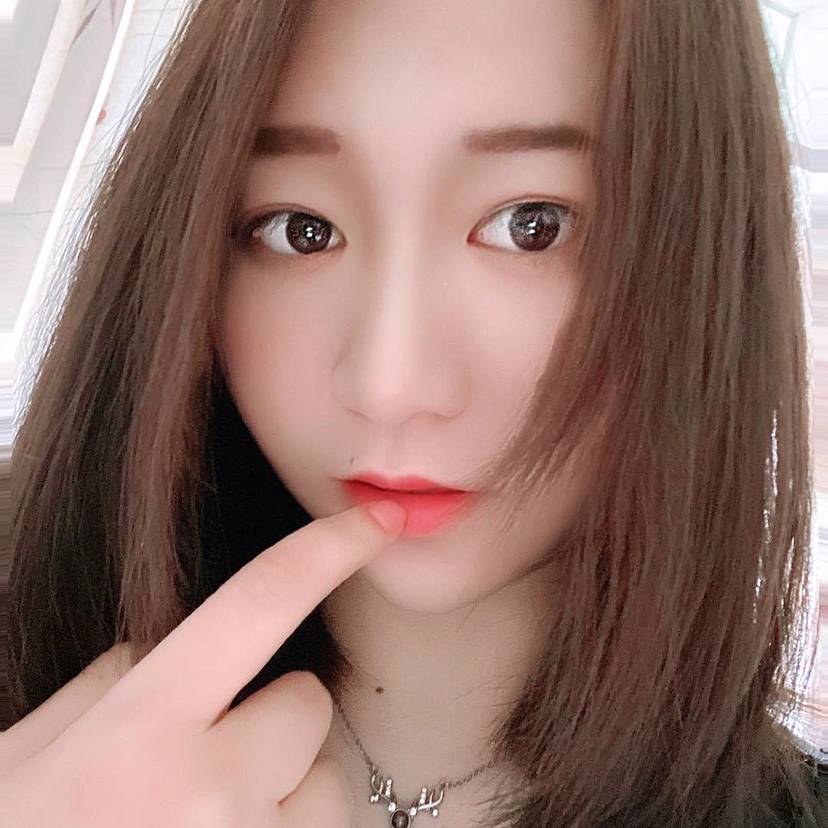 向日葵的照片
