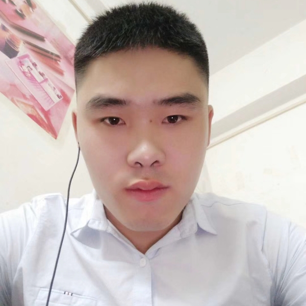 刺猬灵巧的照片