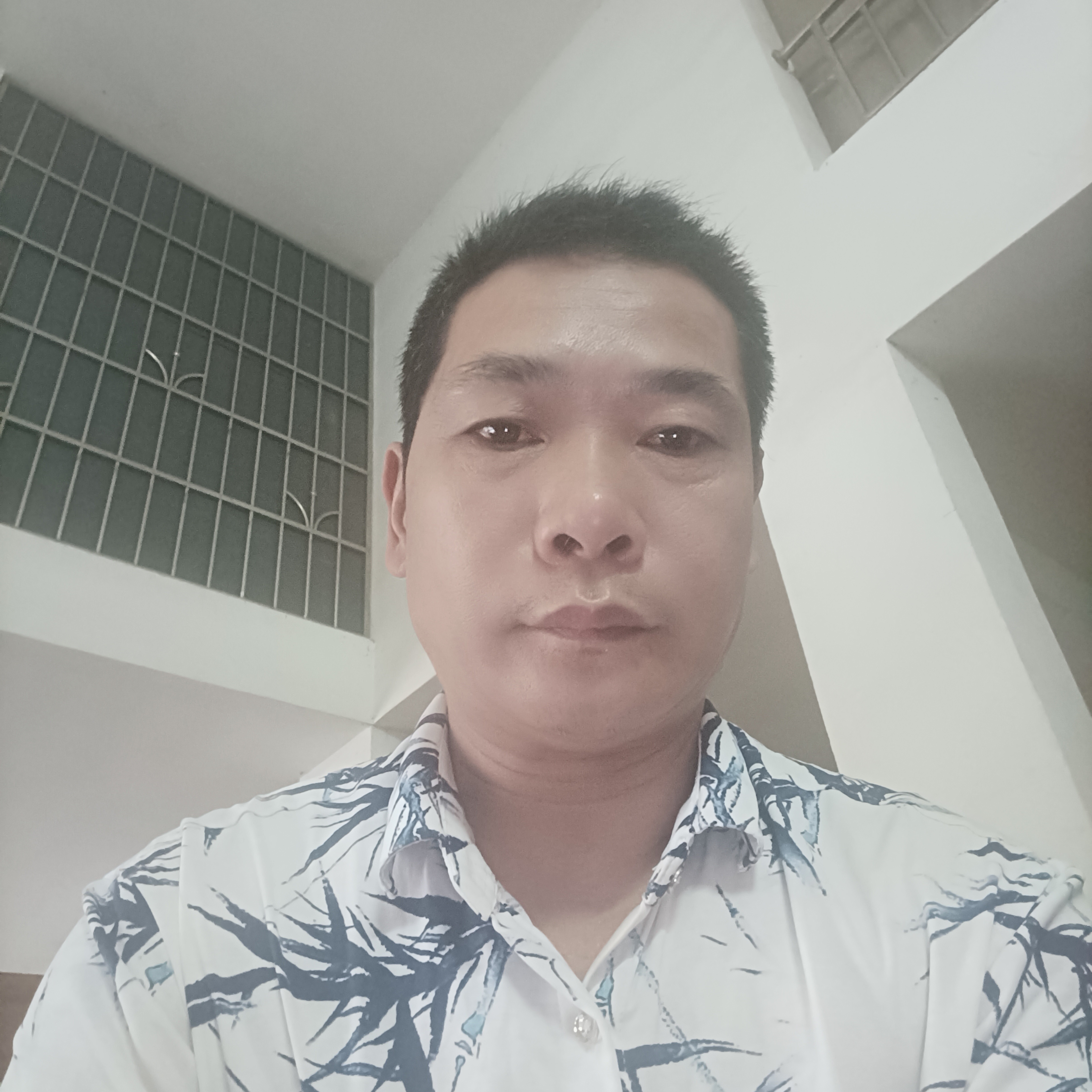 无辜改变大白的照片