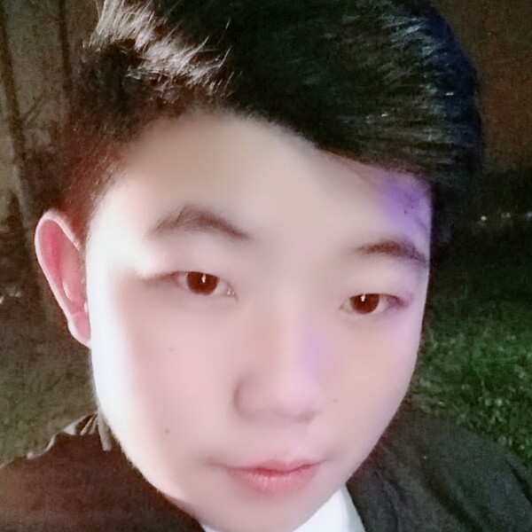 何来伤心的照片