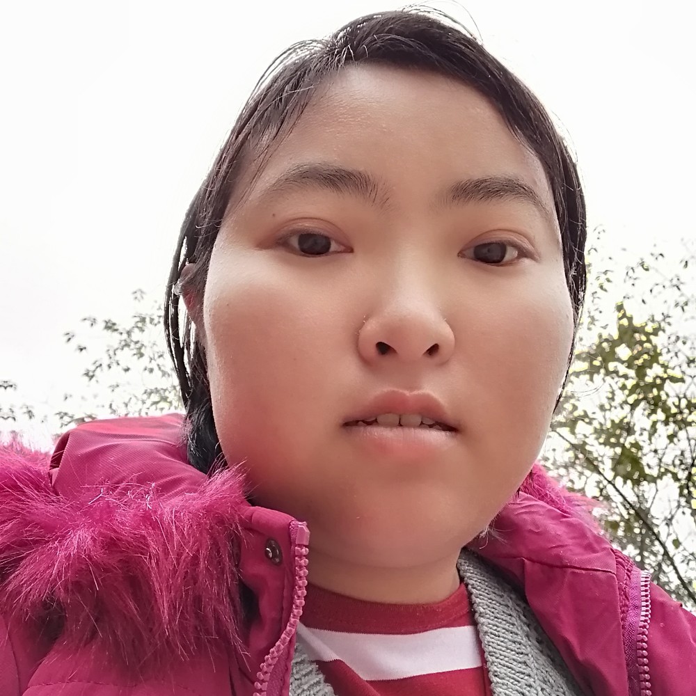 合适演变小天鹅的照片