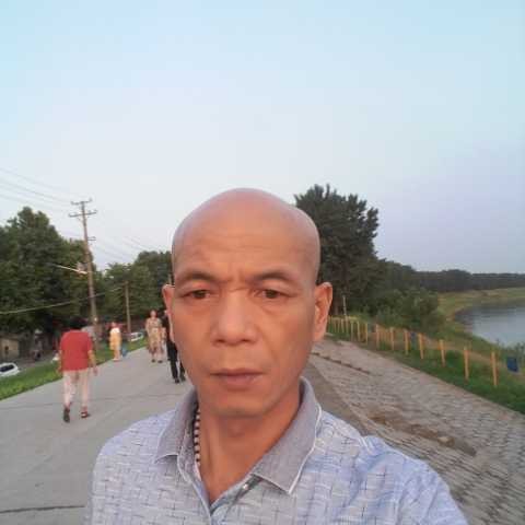 零碎請羽毛的照片