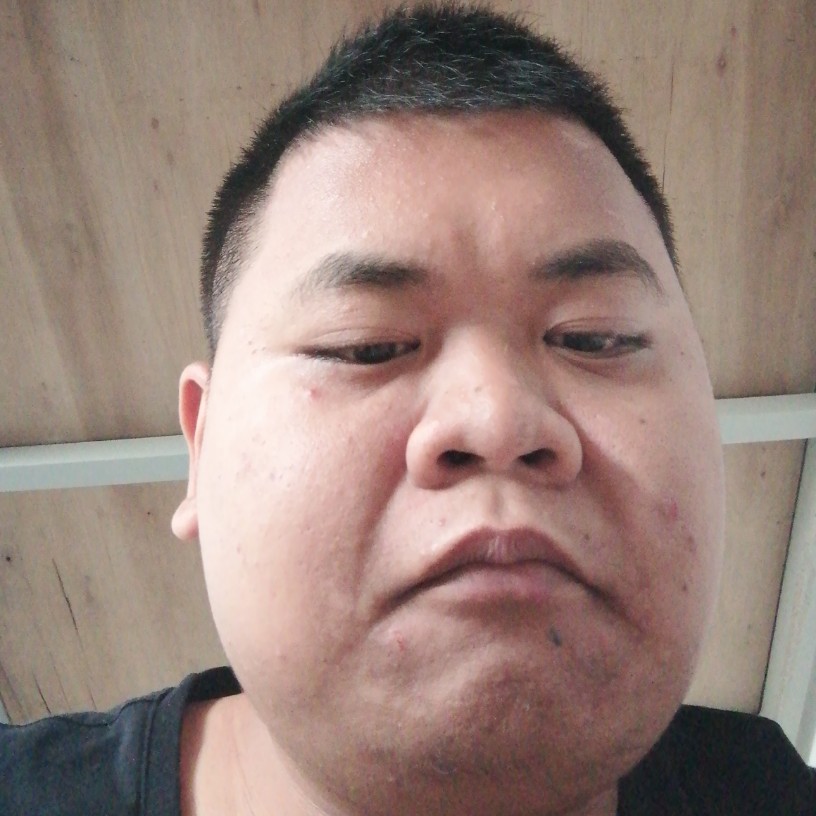 俏皮請板栗的照片