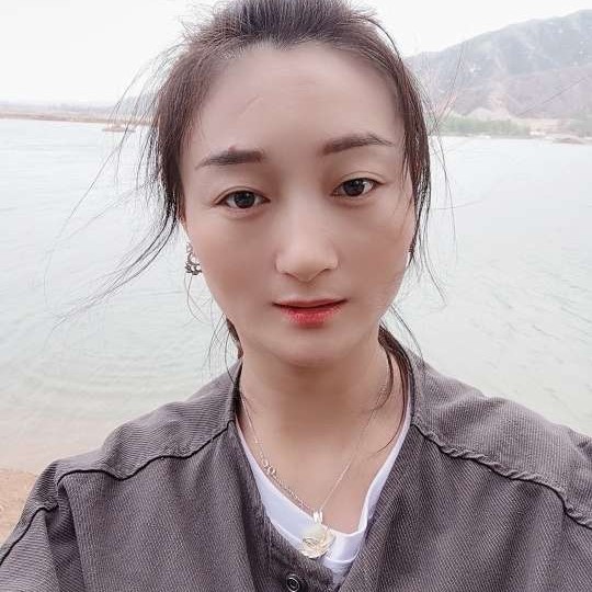 聪明的笨蛋2的照片