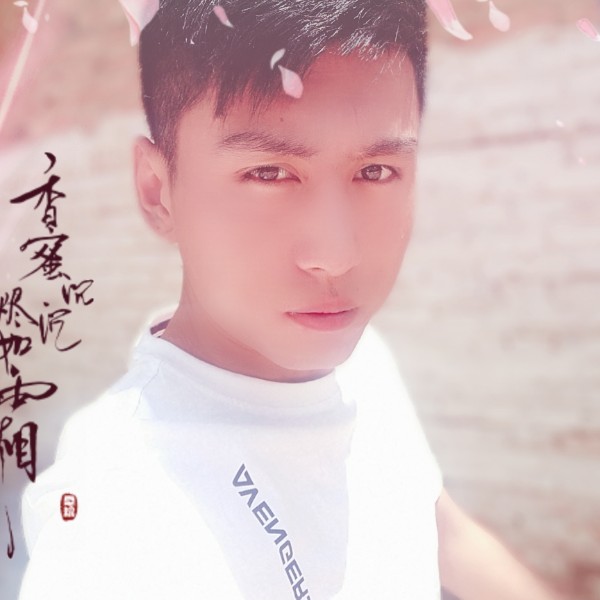 淡淡爱恋浅陌的照片