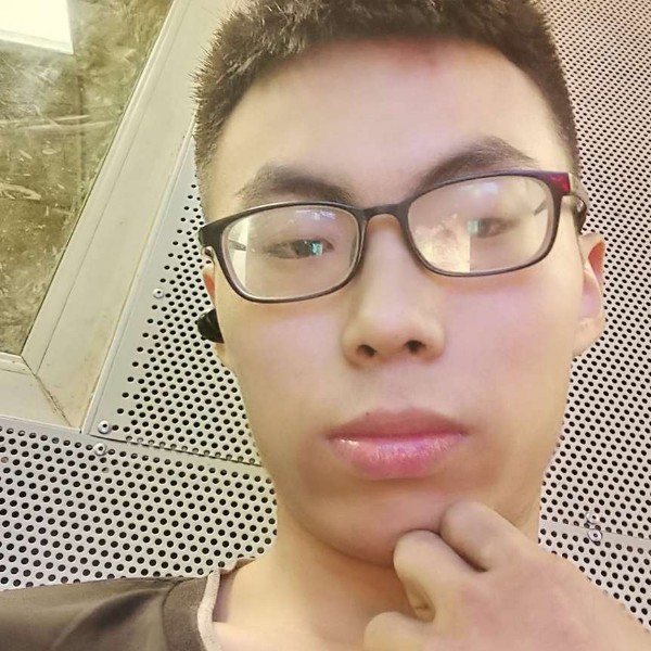 现代吃醋龙猫的照片