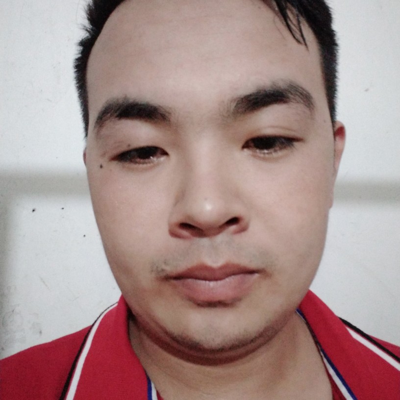 白猫独特的照片