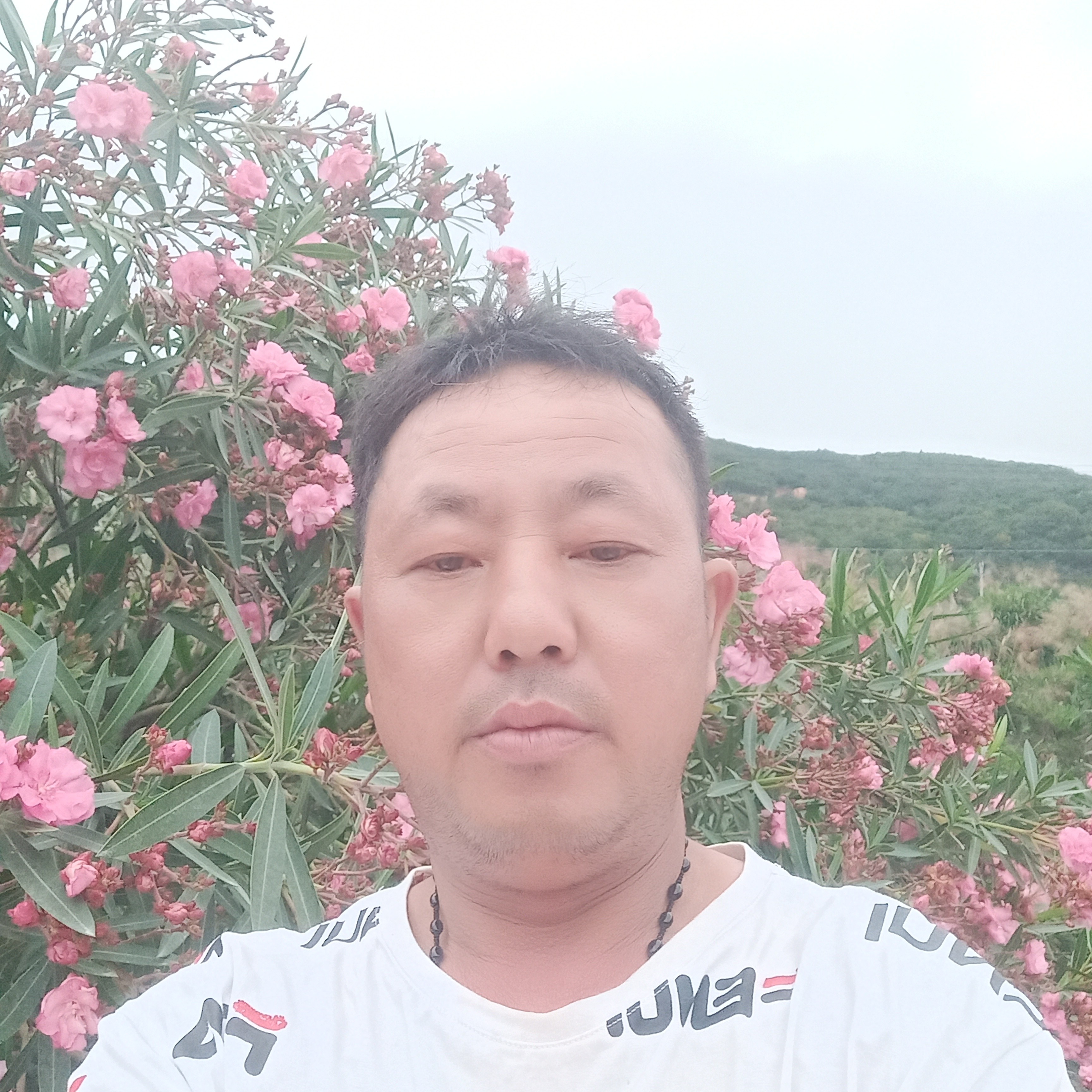 外向网络546的照片