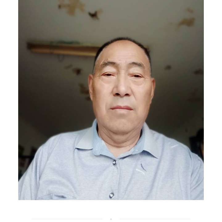 菠萝迷离粱山伯的照片