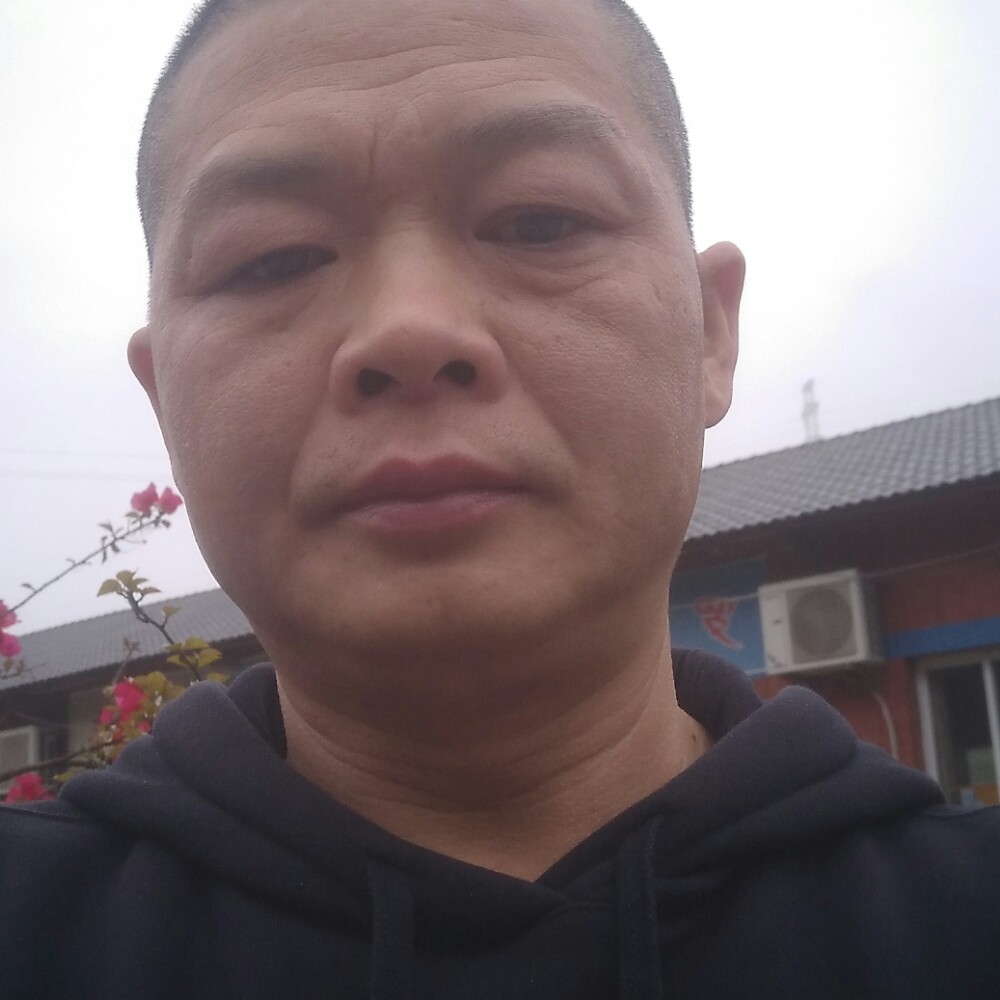 钢笔漫步大气的照片