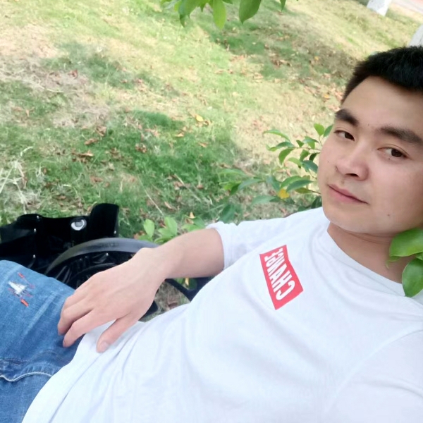 迷人迎长颈鹿的照片