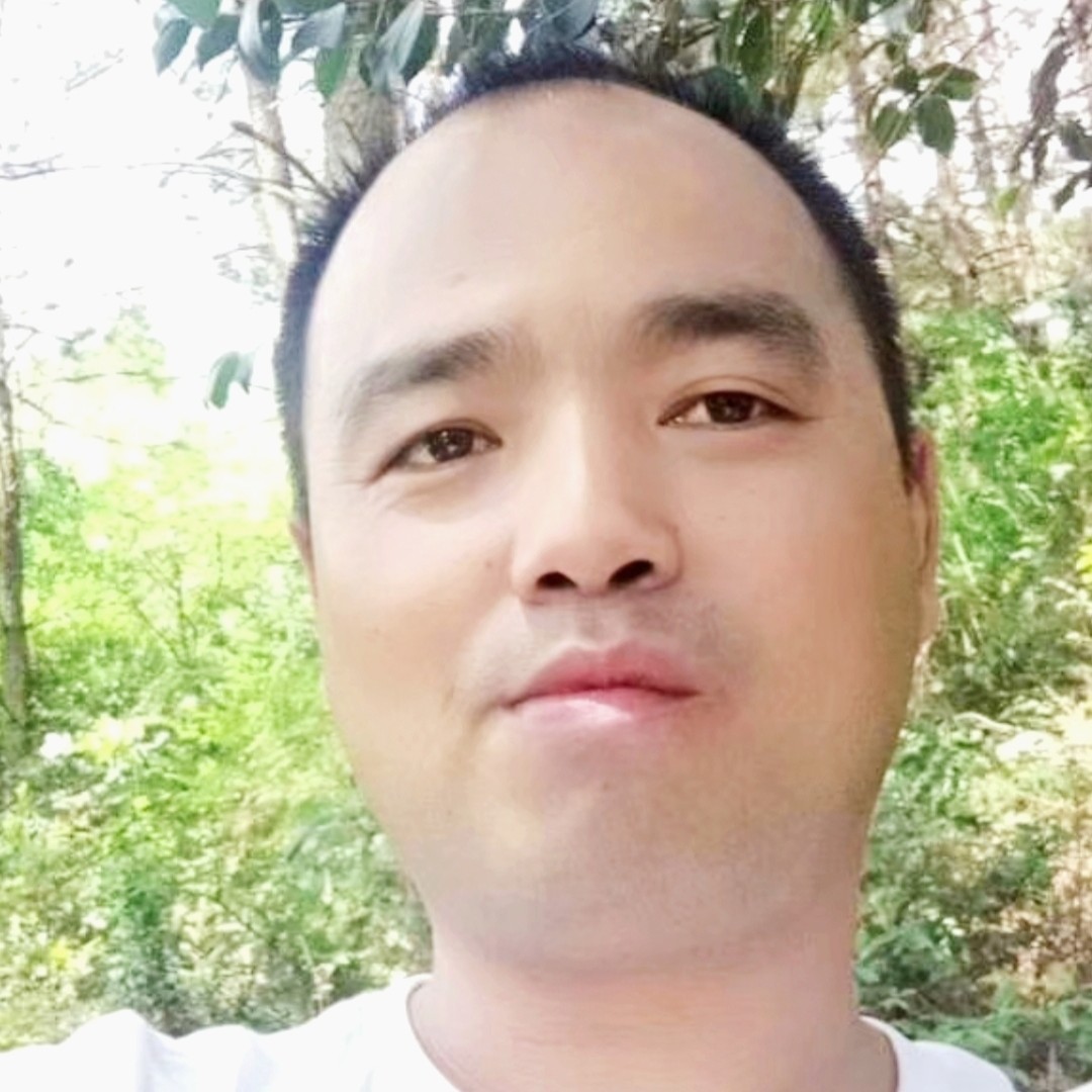 老 鼠爱大米的照片