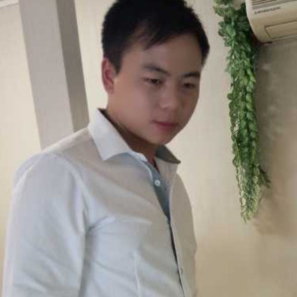 鸽子高飞的照片