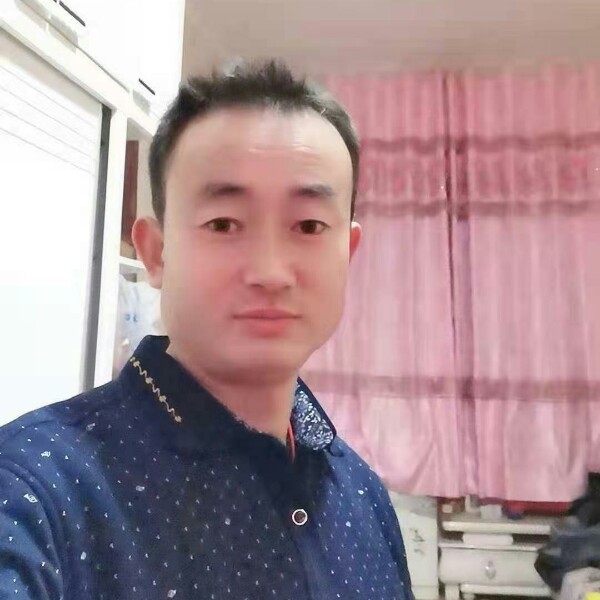 努力的鱼的照片
