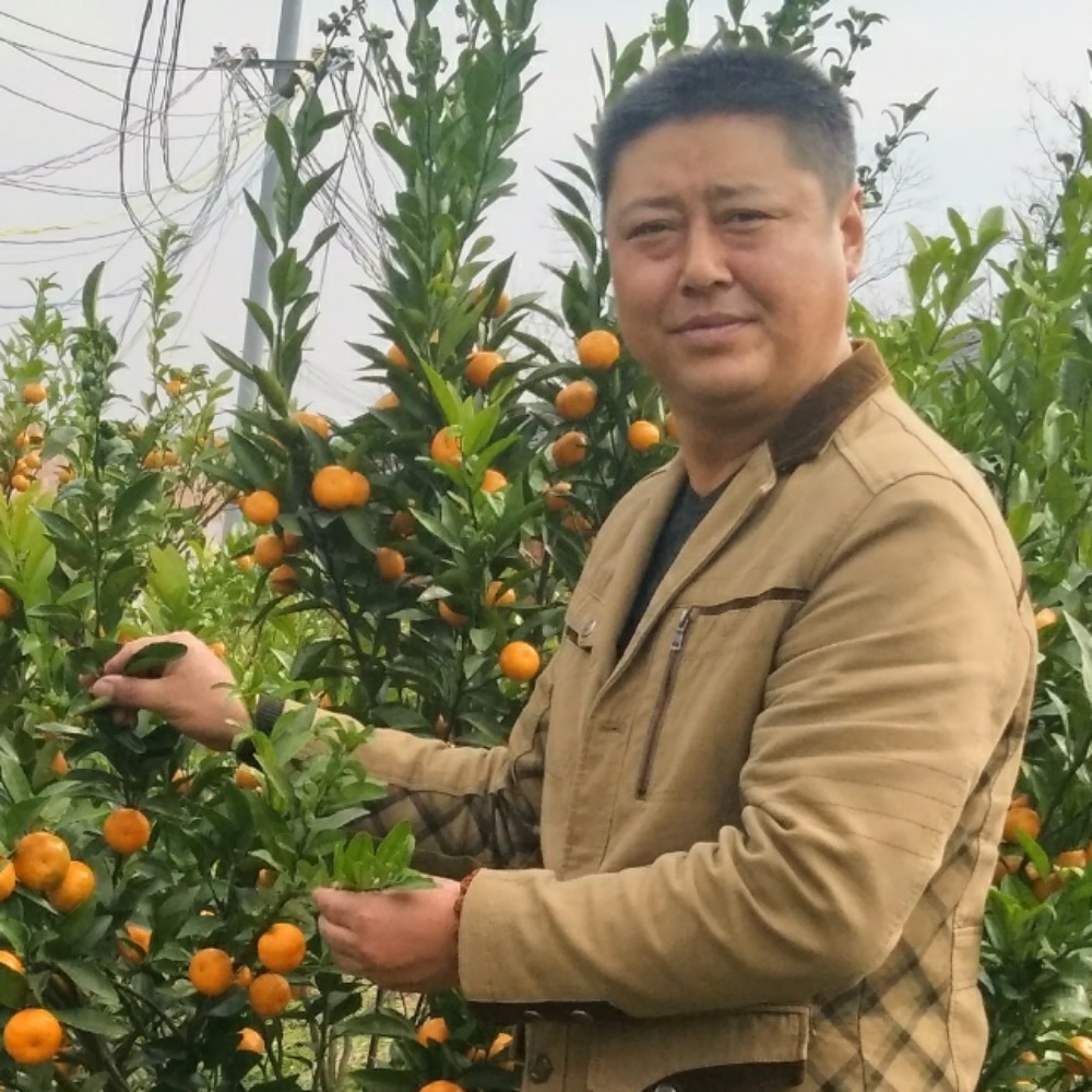 迷你的东北大叔的照片