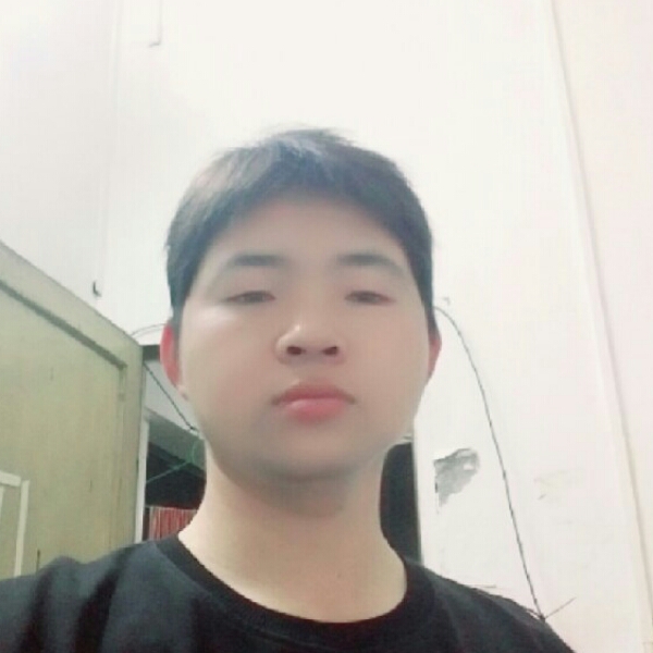 自由倾心蜜蜂的照片