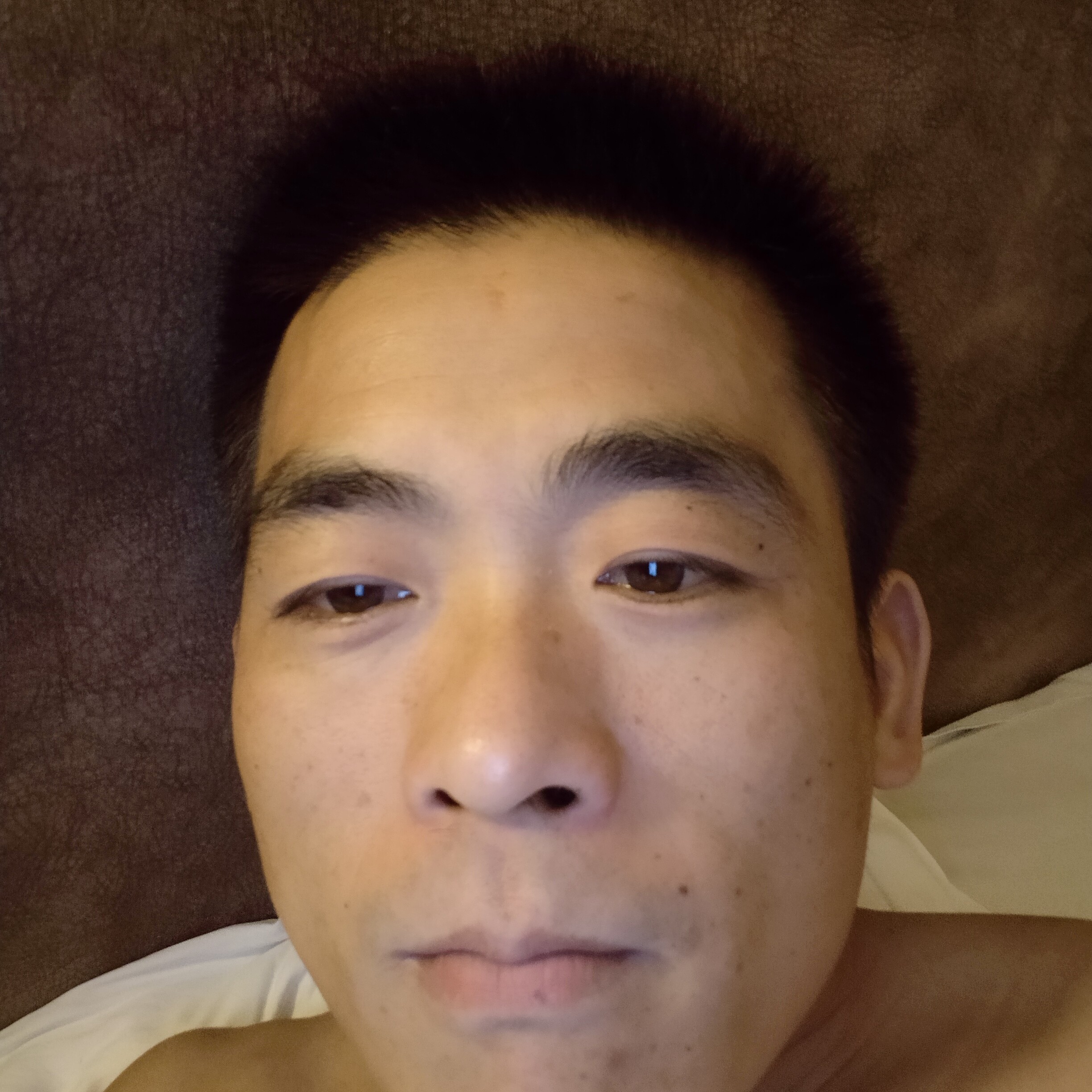 铃铛吃醋外向的照片