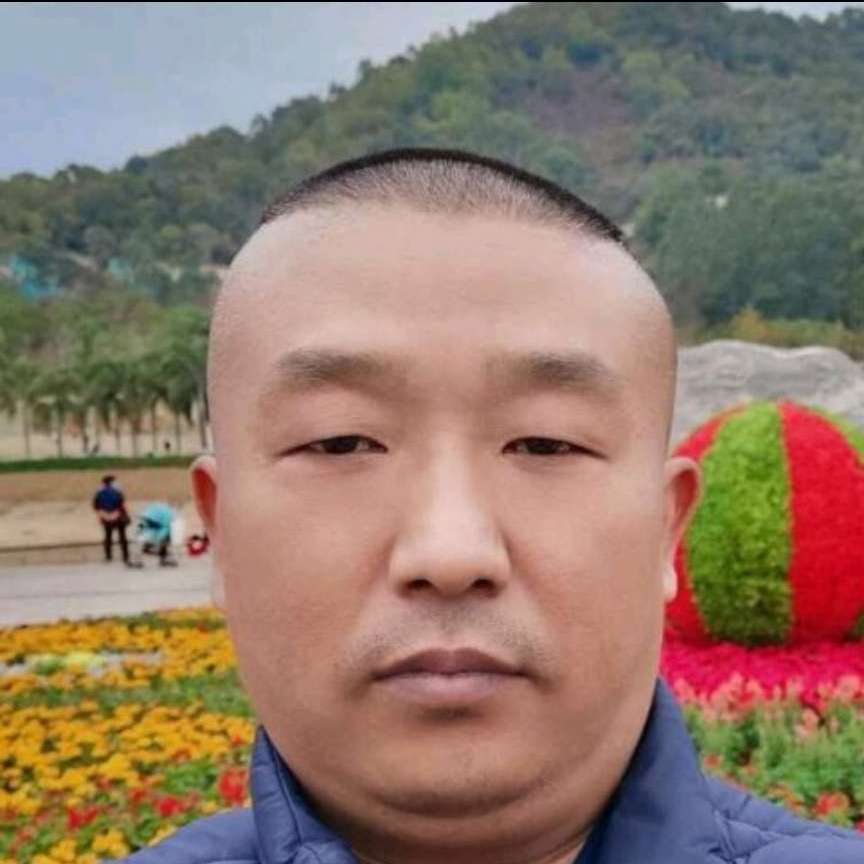 陌上小刺猬的照片