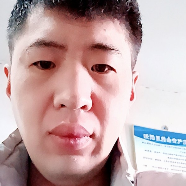 跳跃拾忆小刺猬的照片