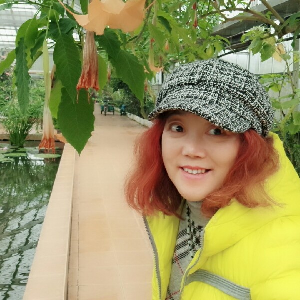 缘自东来的照片