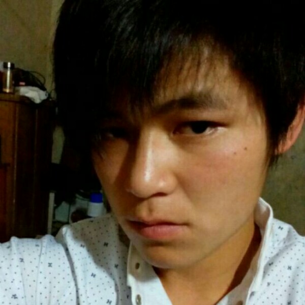 优美鼠标的照片