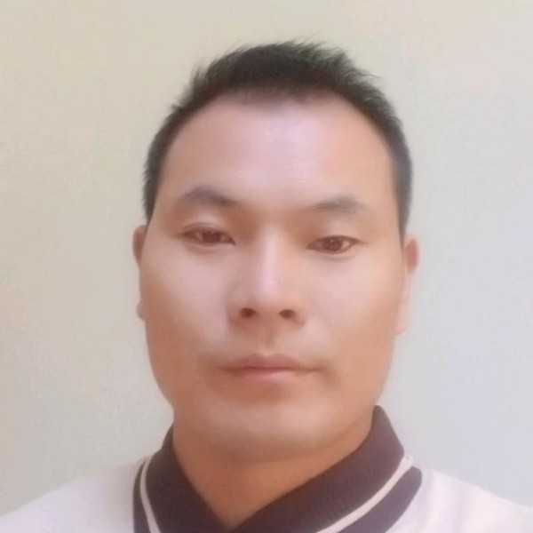 小白菜蹁跹迷茫的照片