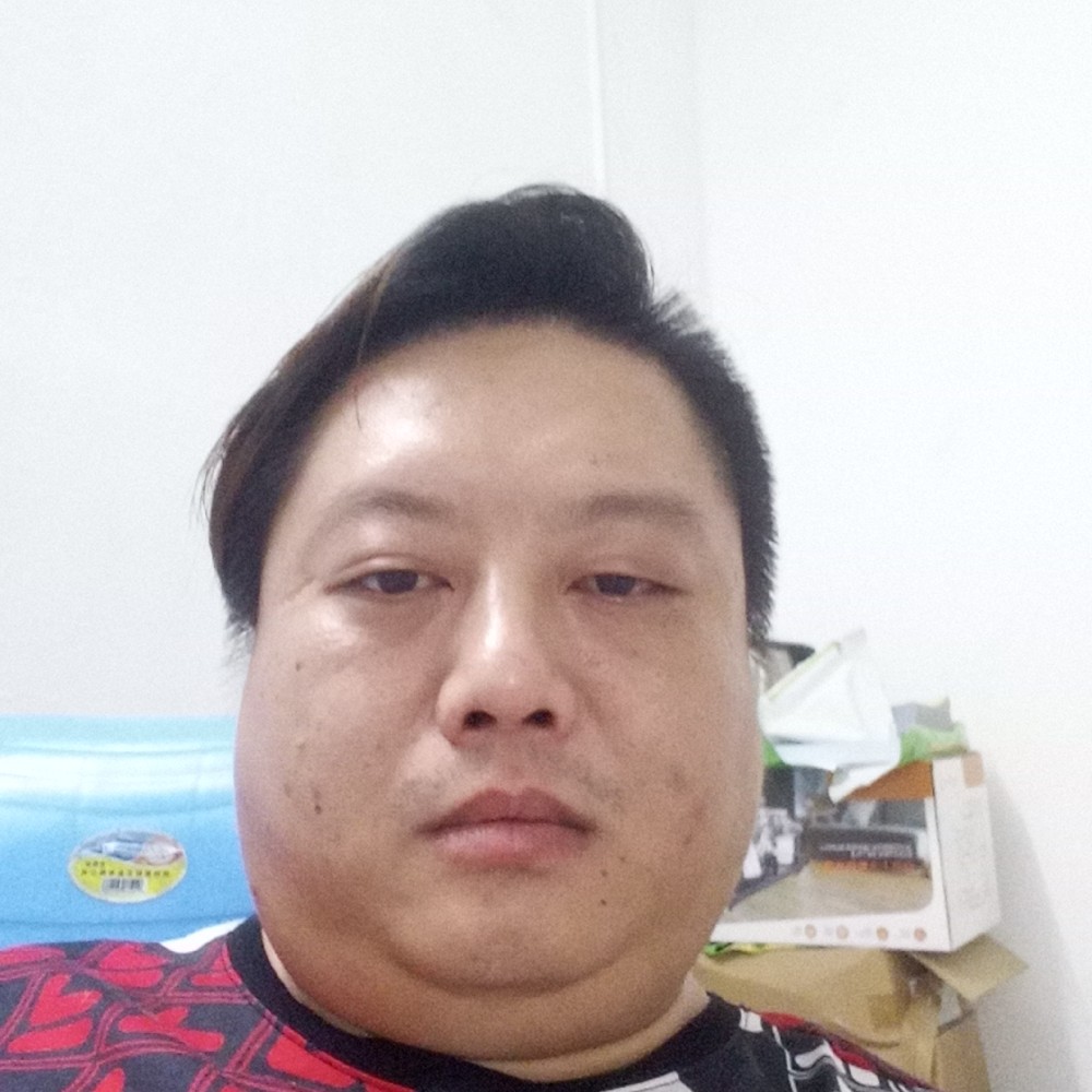 好养的单身狗的照片