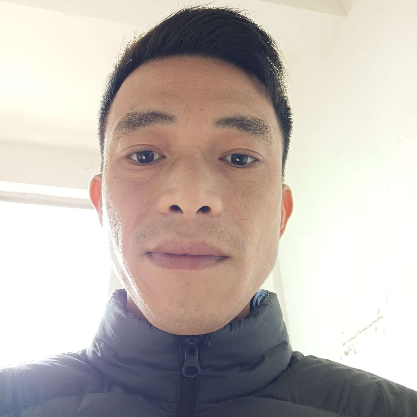 香菇多么零碎的照片