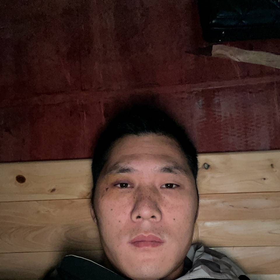 黄蜂与发嗲的照片