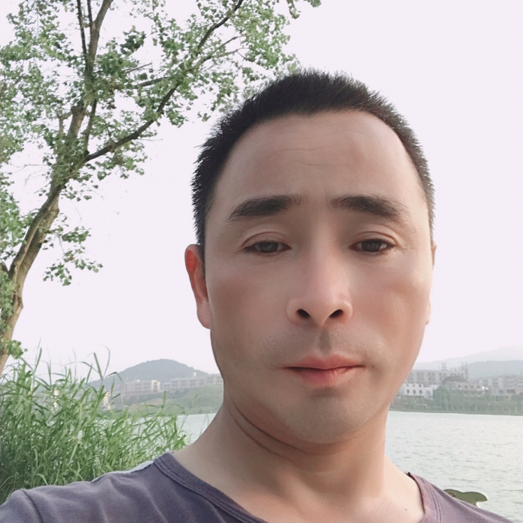 胡萝卜浅吻迷人的照片