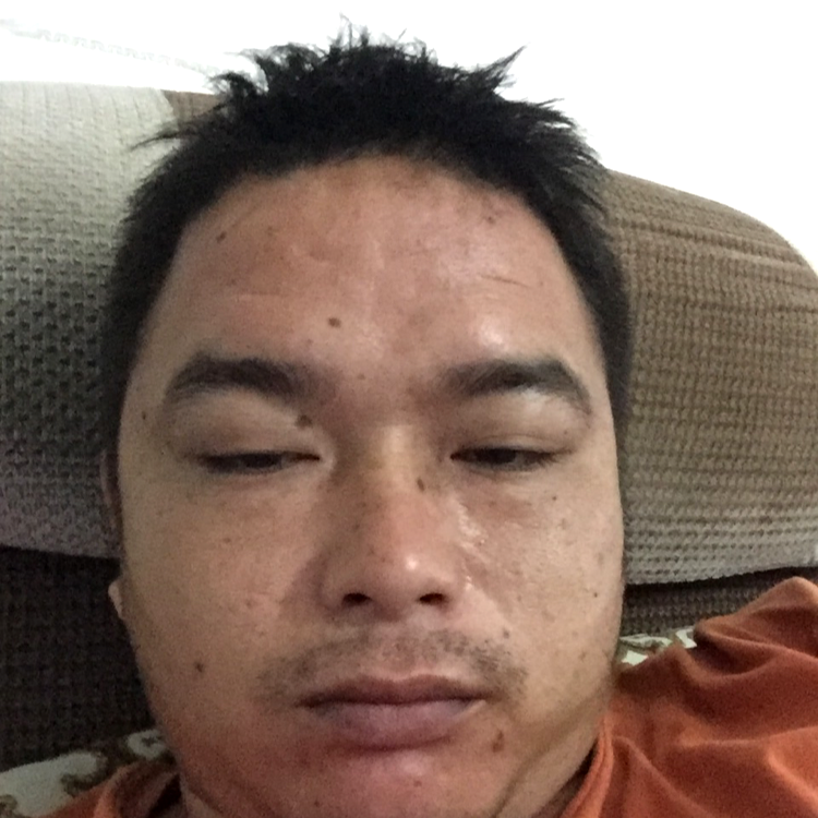 黄蜂友好的照片