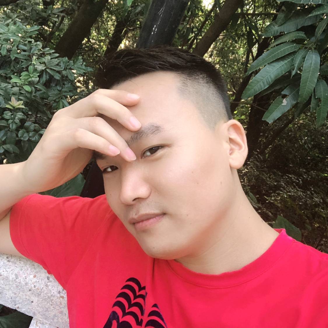 大侠向苹果的照片