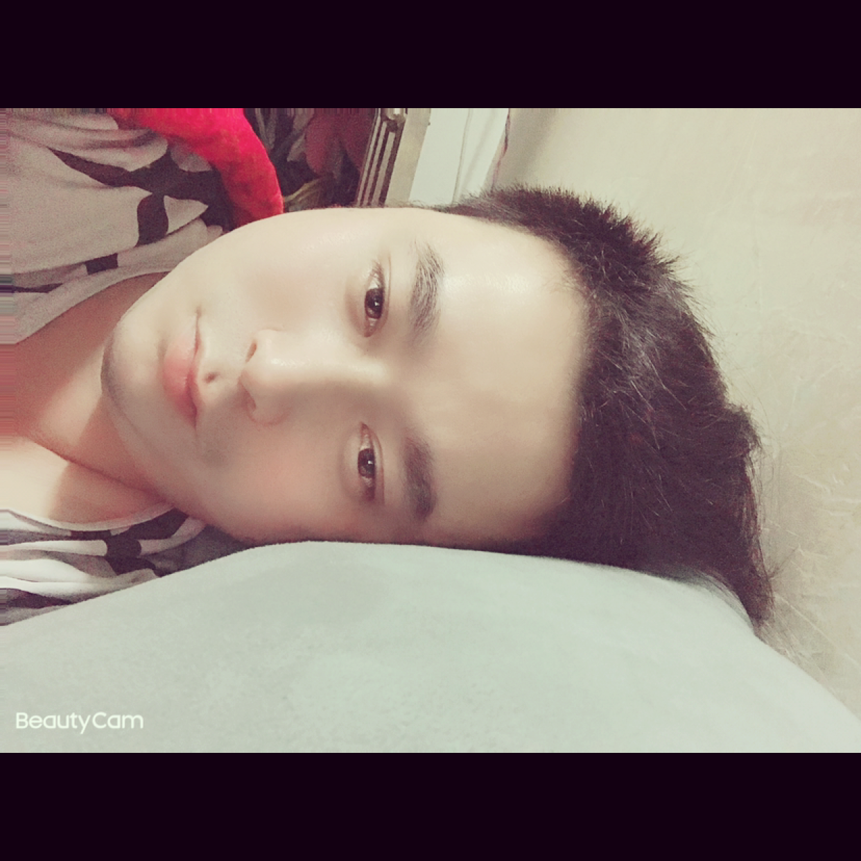 广东虾仔的照片